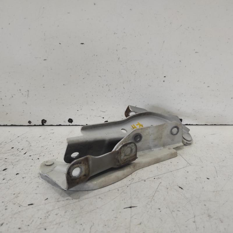 bonnet hinge/strut