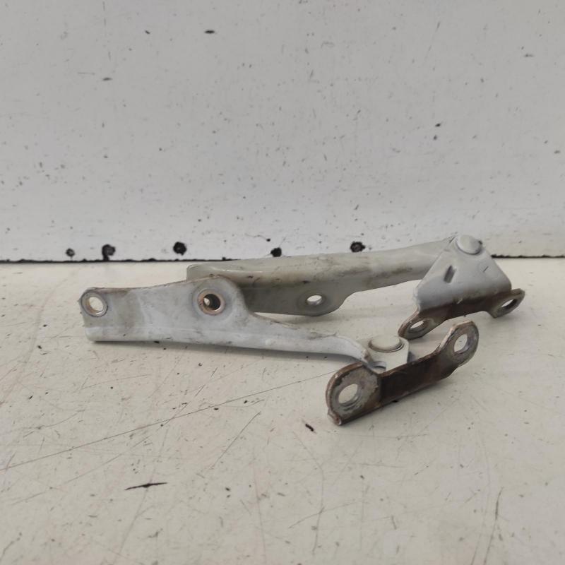 bonnet hinge/strut