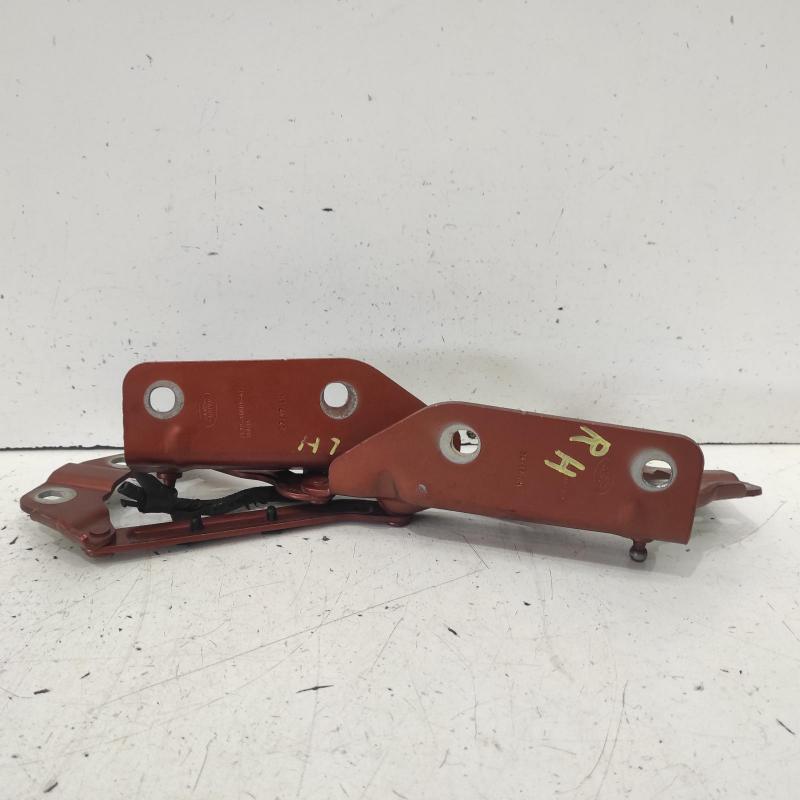 bonnet hinge/strut