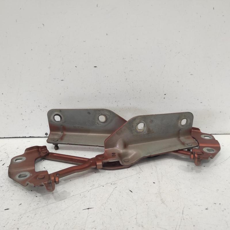 bonnet hinge/strut