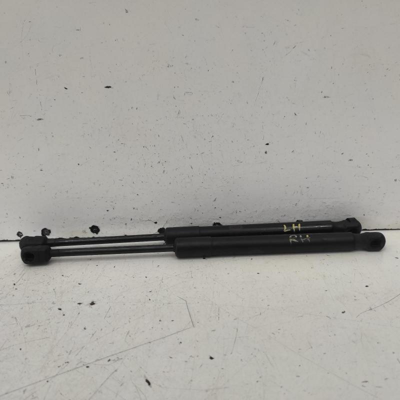bonnet hinge/strut