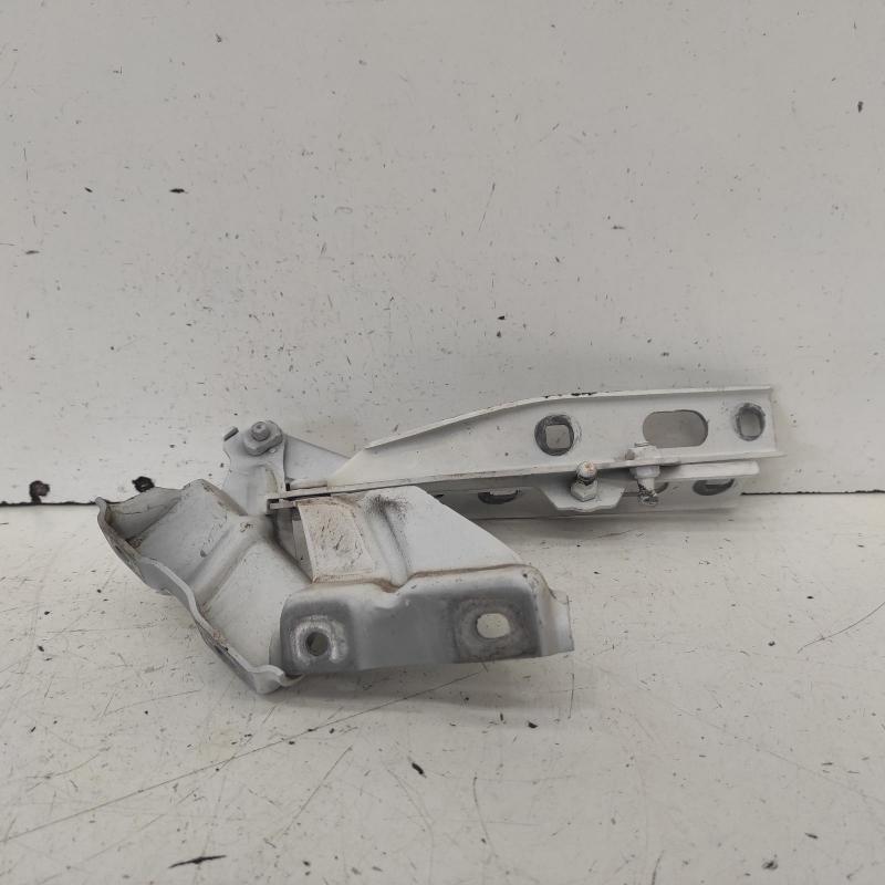 bonnet hinge/strut