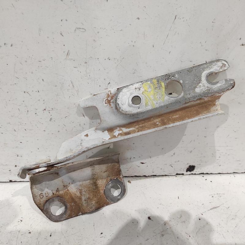 bonnet hinge/strut