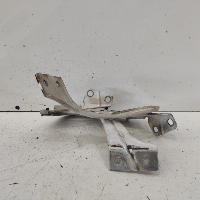 bonnet hinge/strut