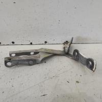 bonnet hinge/strut