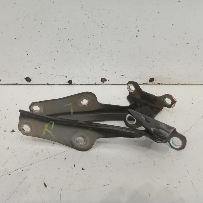 bonnet hinge/strut