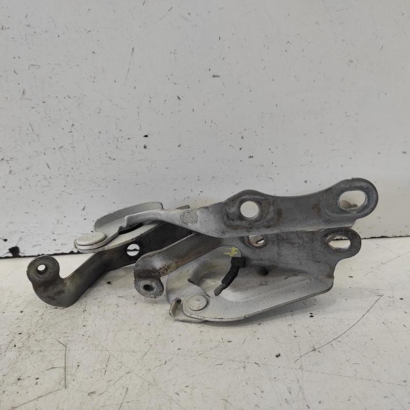 bonnet hinge/strut