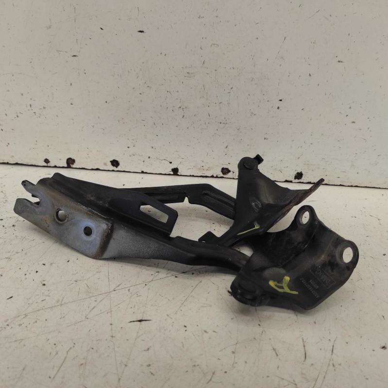 bonnet hinge/strut