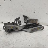 bonnet hinge/strut