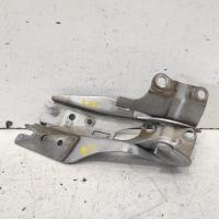 bonnet hinge/strut