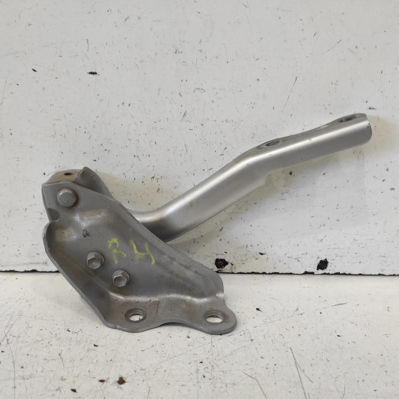 bonnet hinge/strut
