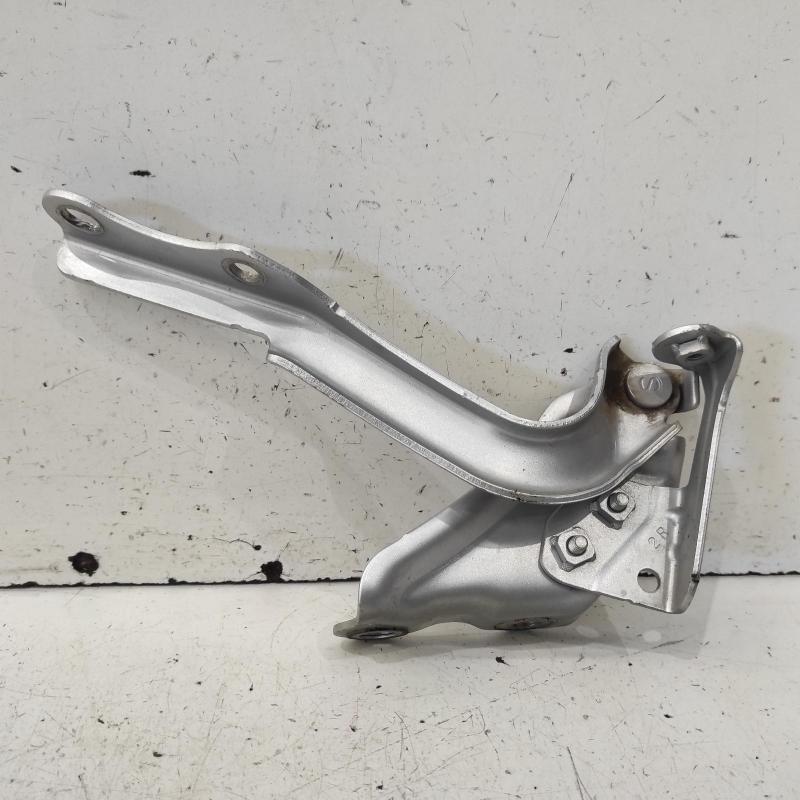 bonnet hinge/strut