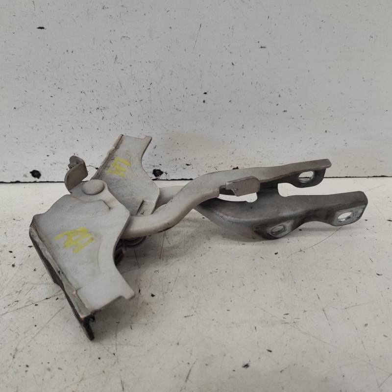 bonnet hinge/strut