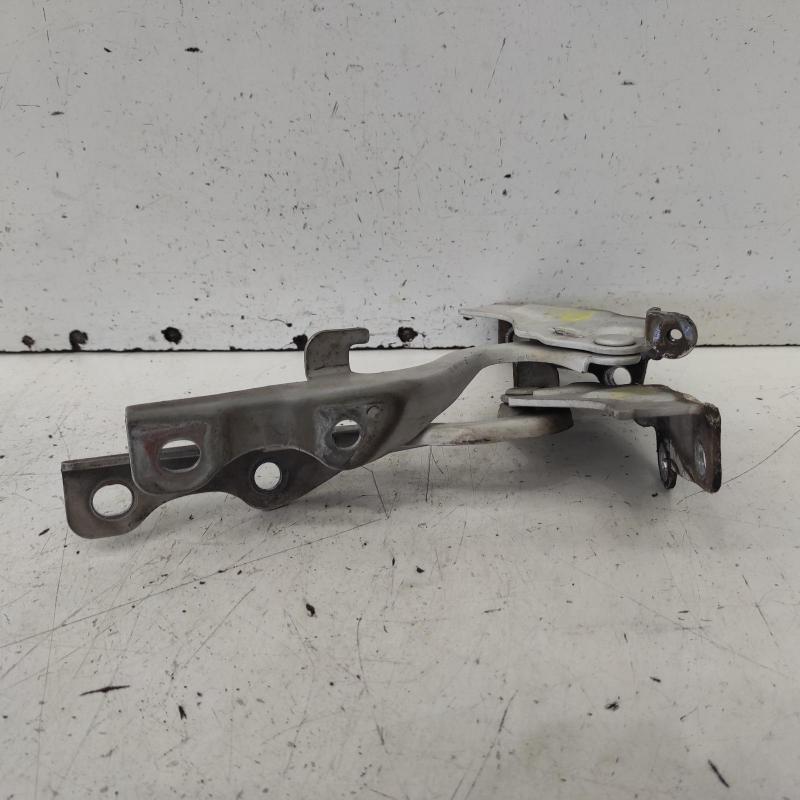 bonnet hinge/strut