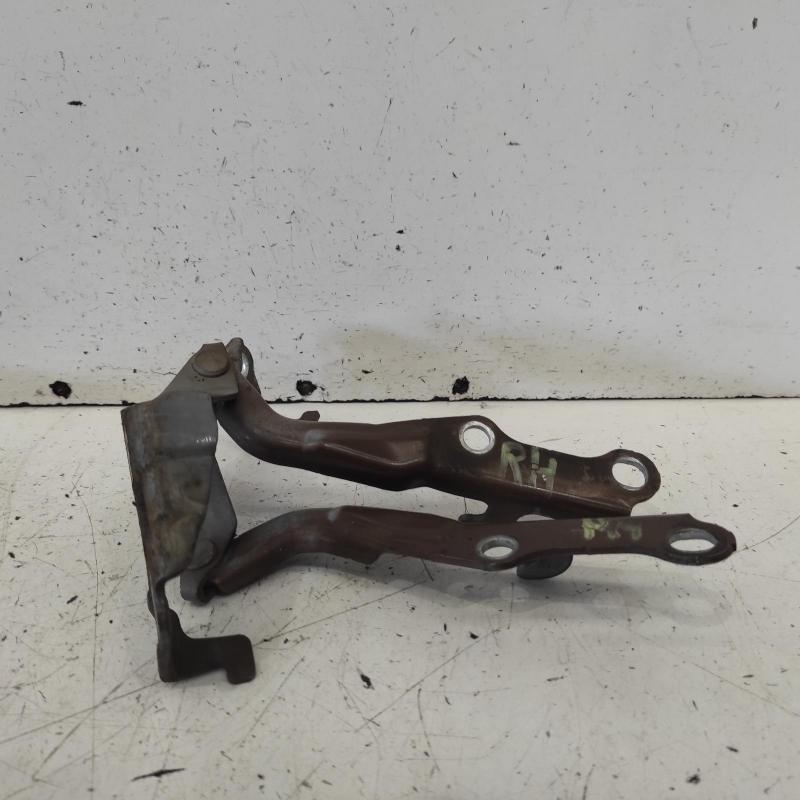 bonnet hinge/strut