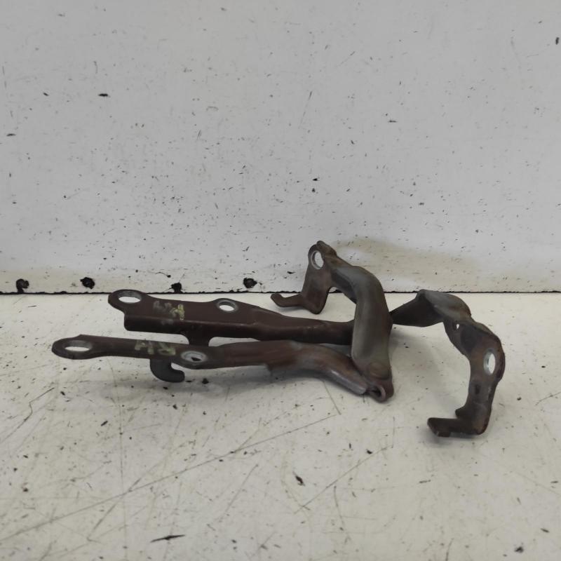 bonnet hinge/strut