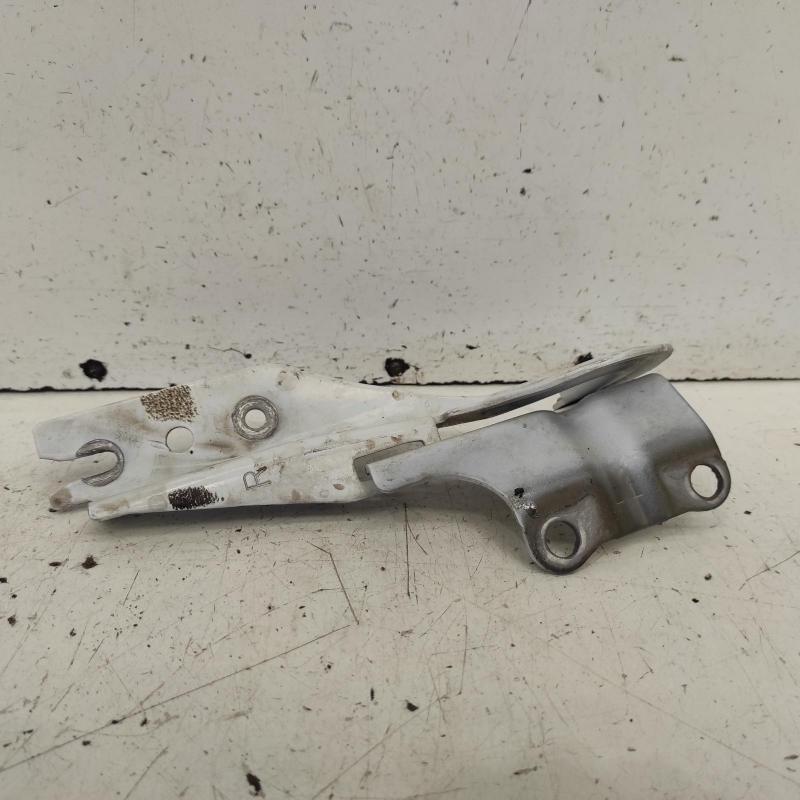 bonnet hinge/strut