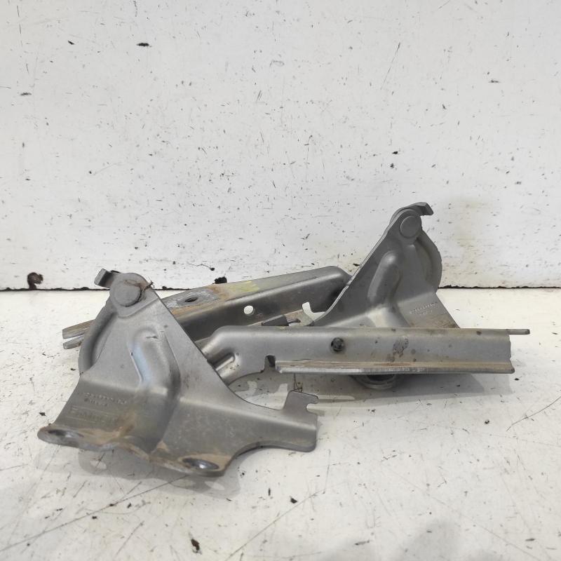 bonnet hinge/strut