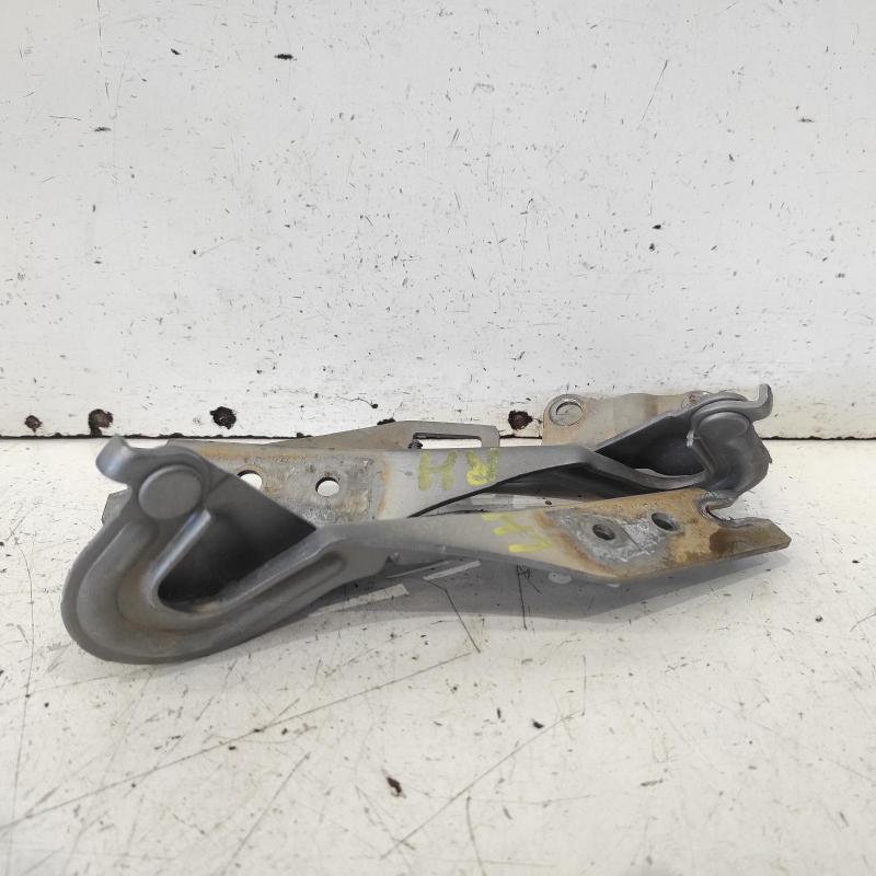 bonnet hinge/strut
