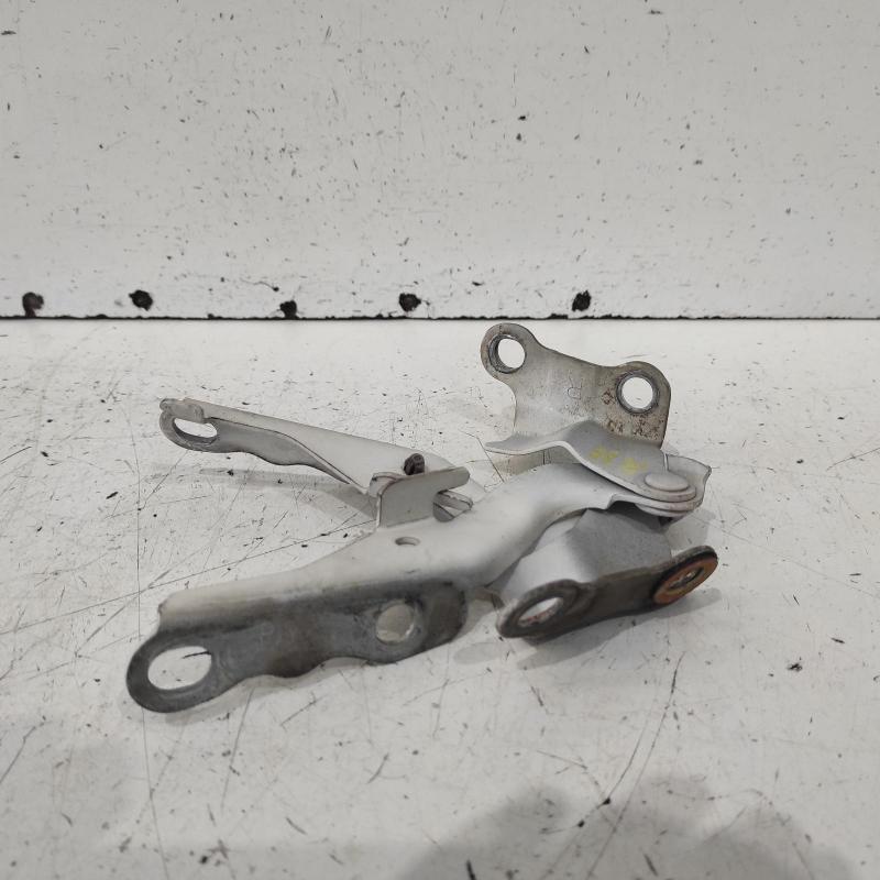 bonnet hinge/strut