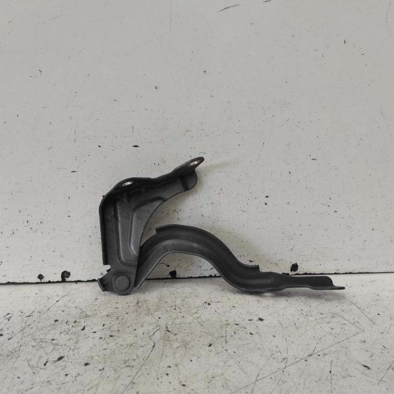 bonnet hinge/strut