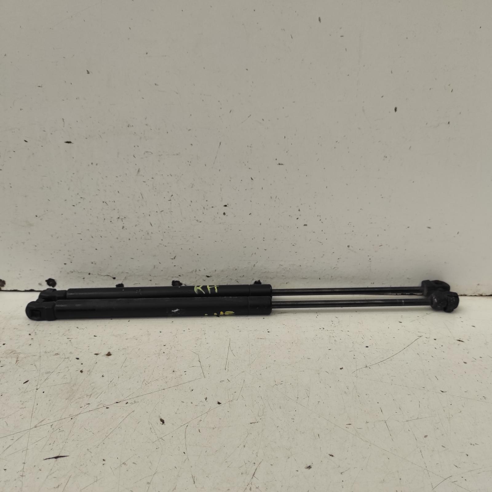 Landcruiser Bonnet Hinge/strut 1998-2007 100 series,struts (pair),01/98-10/07 00021010 #644802