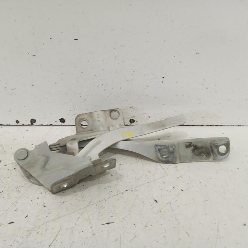 bonnet hinge/strut