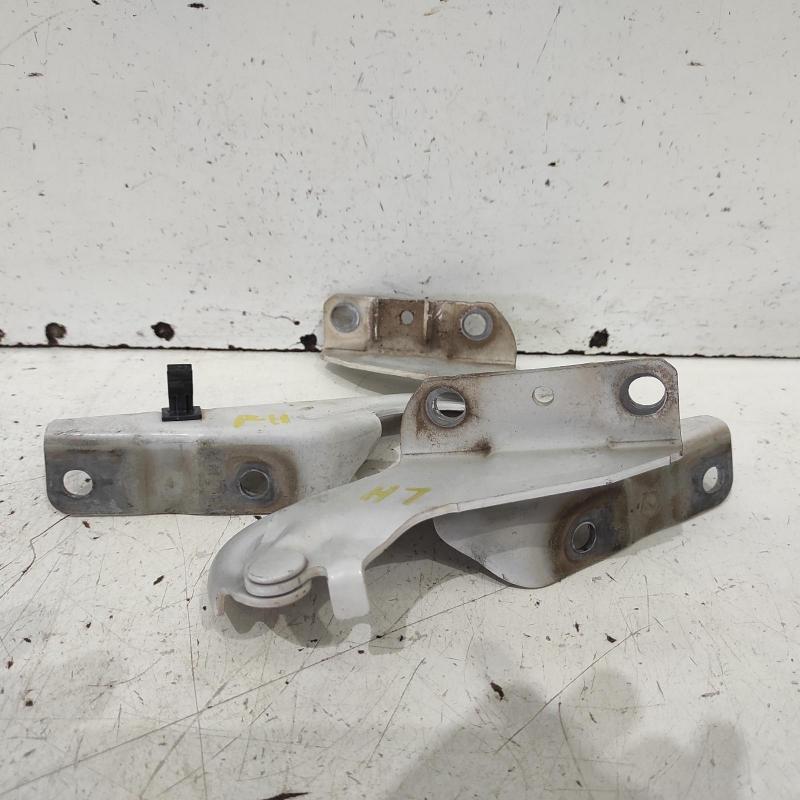 bonnet hinge/strut