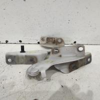 bonnet hinge/strut