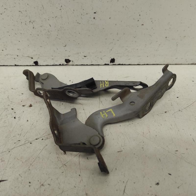 bonnet hinge/strut