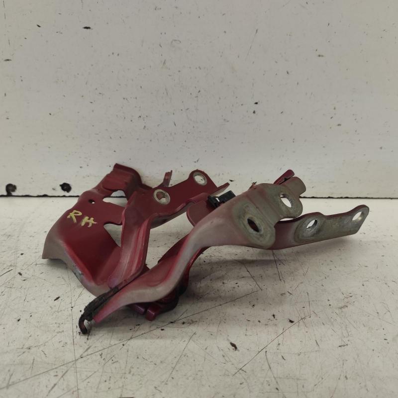 bonnet hinge/strut
