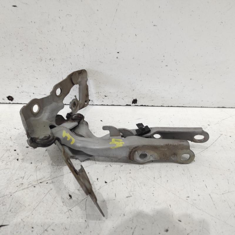 bonnet hinge/strut
