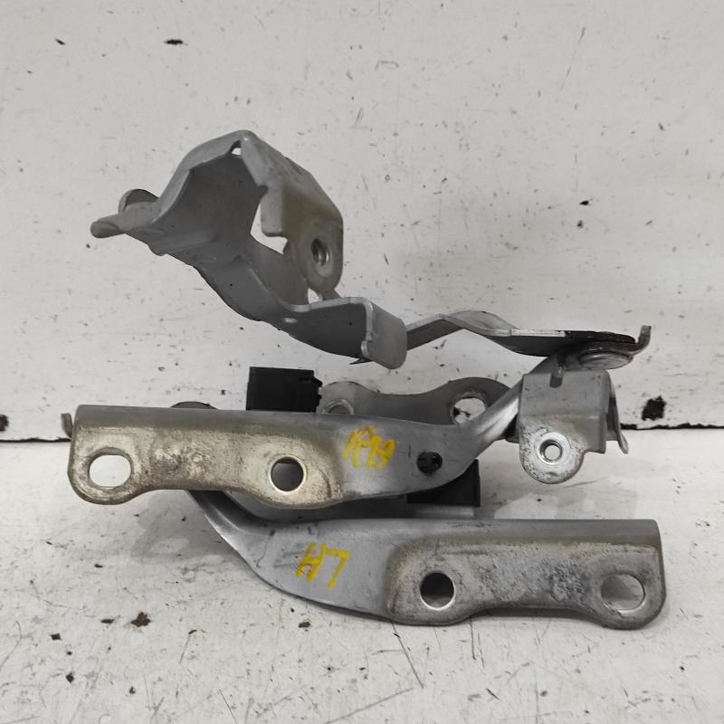 bonnet hinge/strut