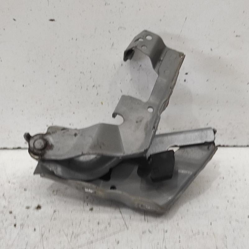 bonnet hinge/strut