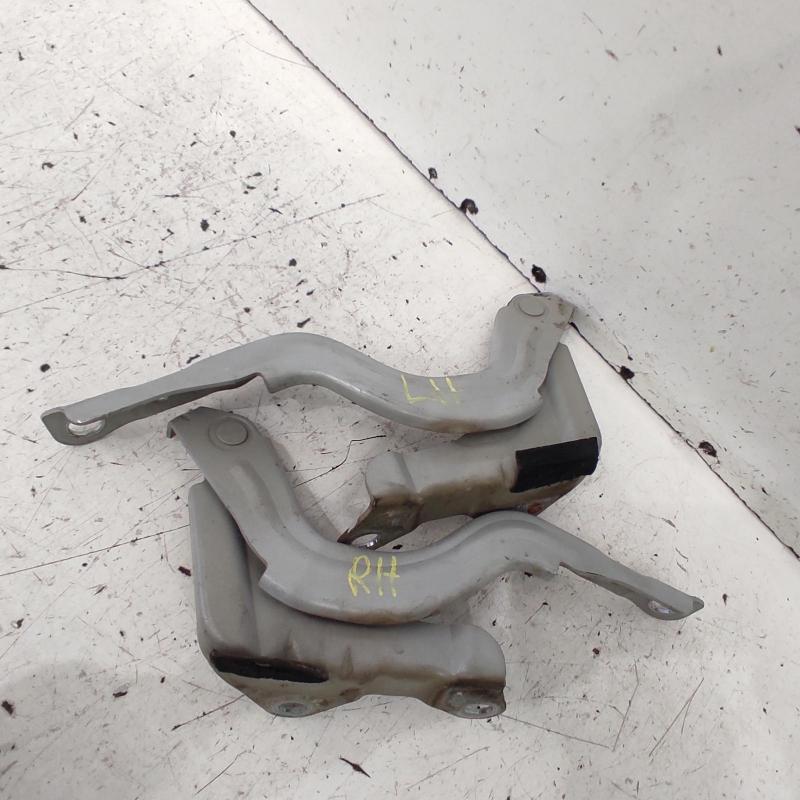 bonnet hinge/strut