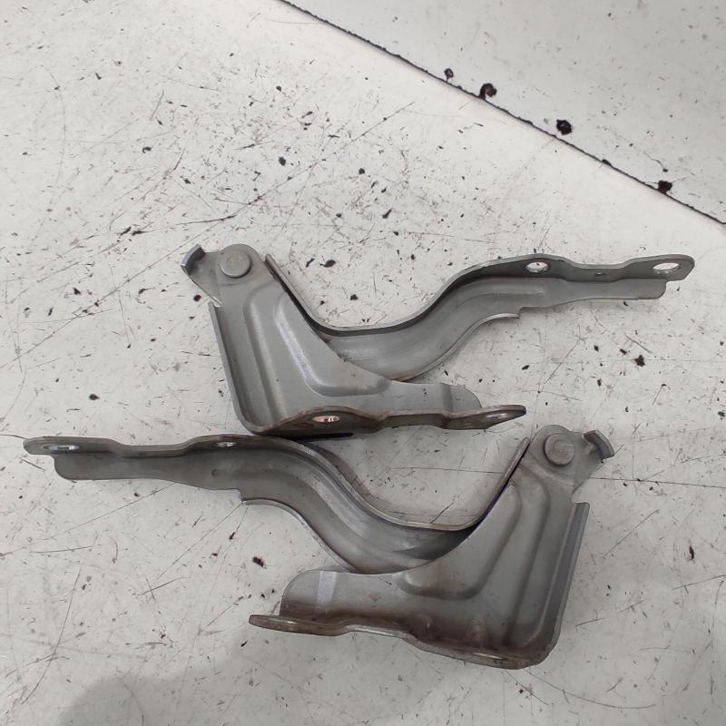 bonnet hinge/strut
