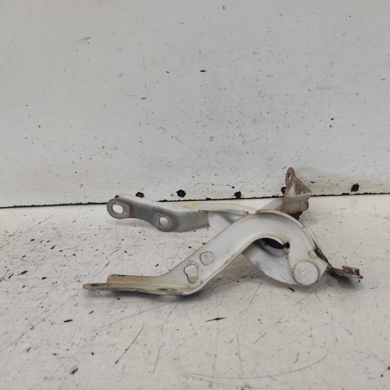 bonnet hinge/strut