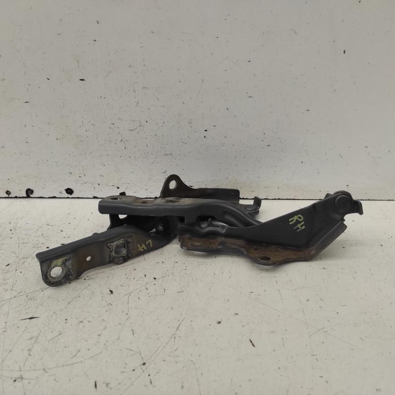 bonnet hinge/strut