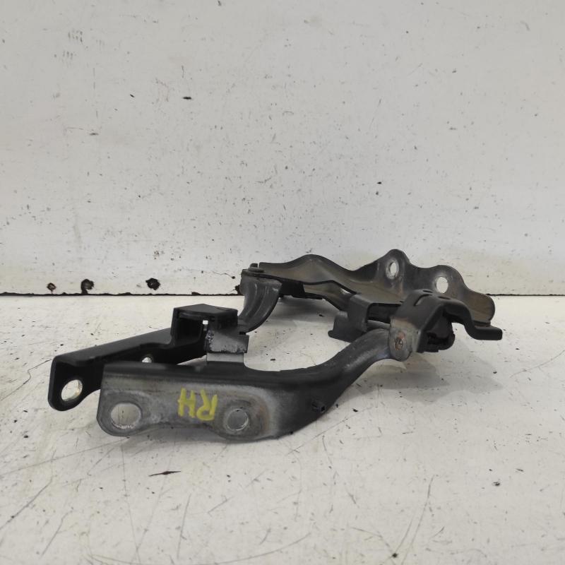 bonnet hinge/strut