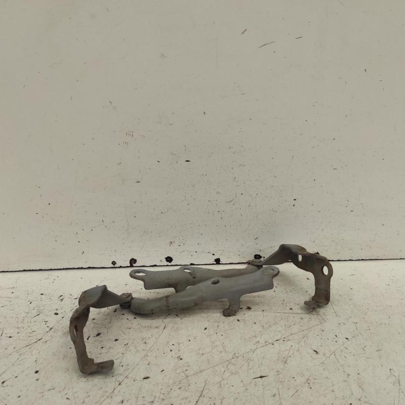 bonnet hinge/strut