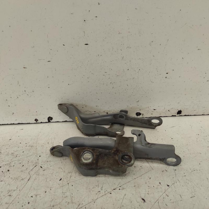 bonnet hinge/strut
