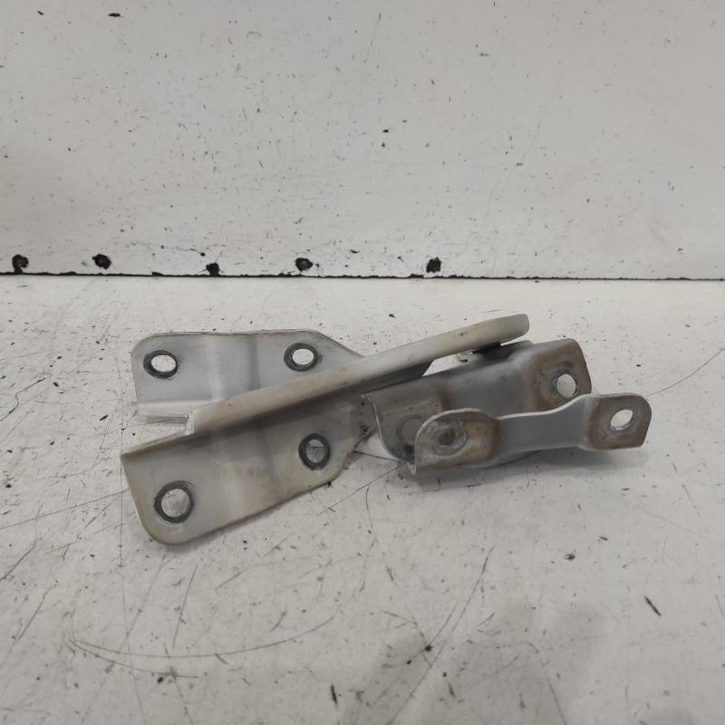bonnet hinge/strut