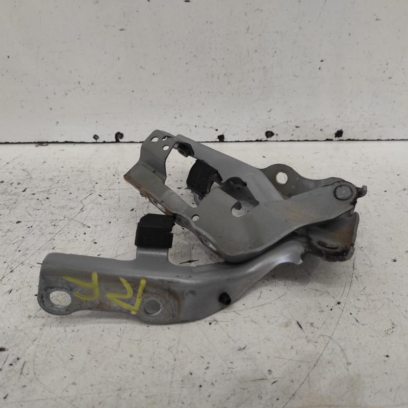 bonnet hinge/strut