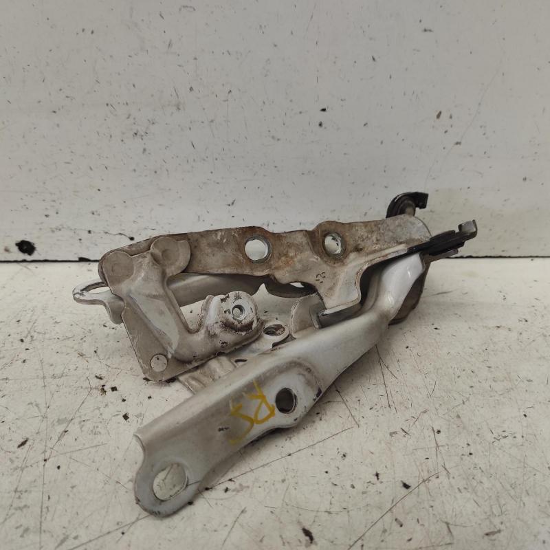 bonnet hinge/strut