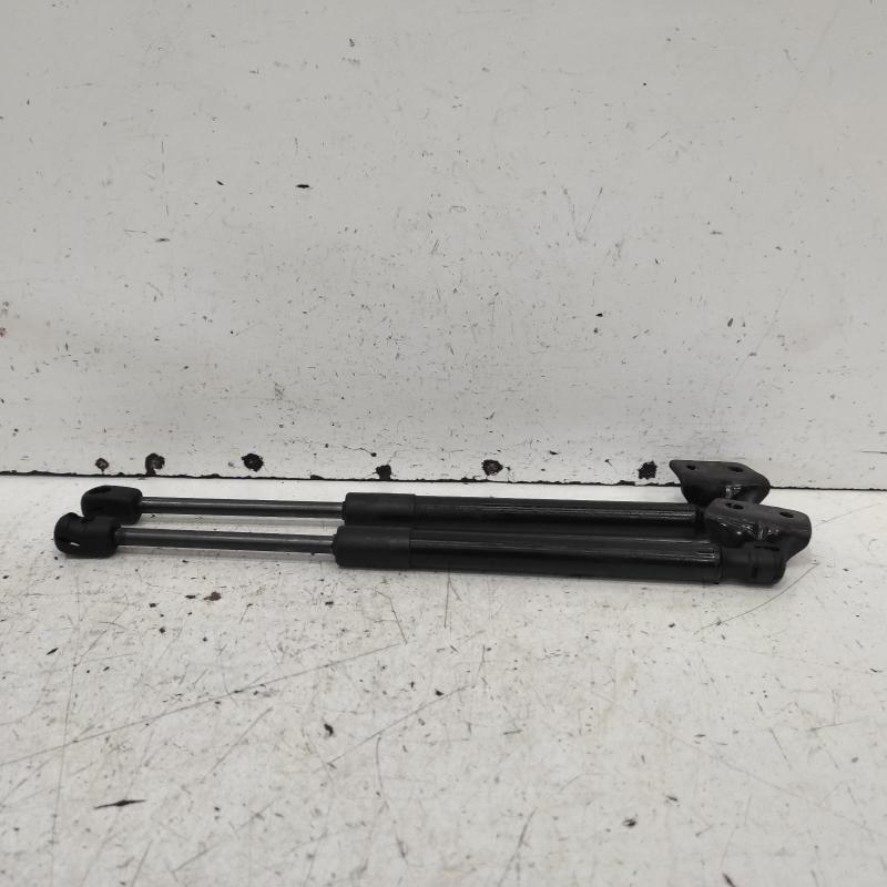 bonnet hinge/strut