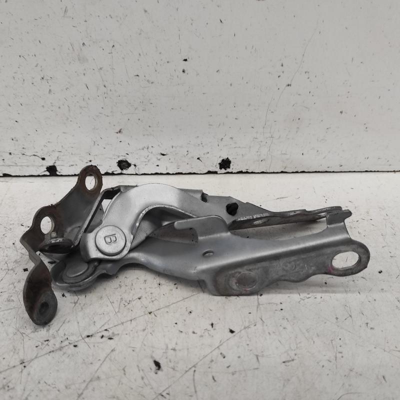 bonnet hinge/strut