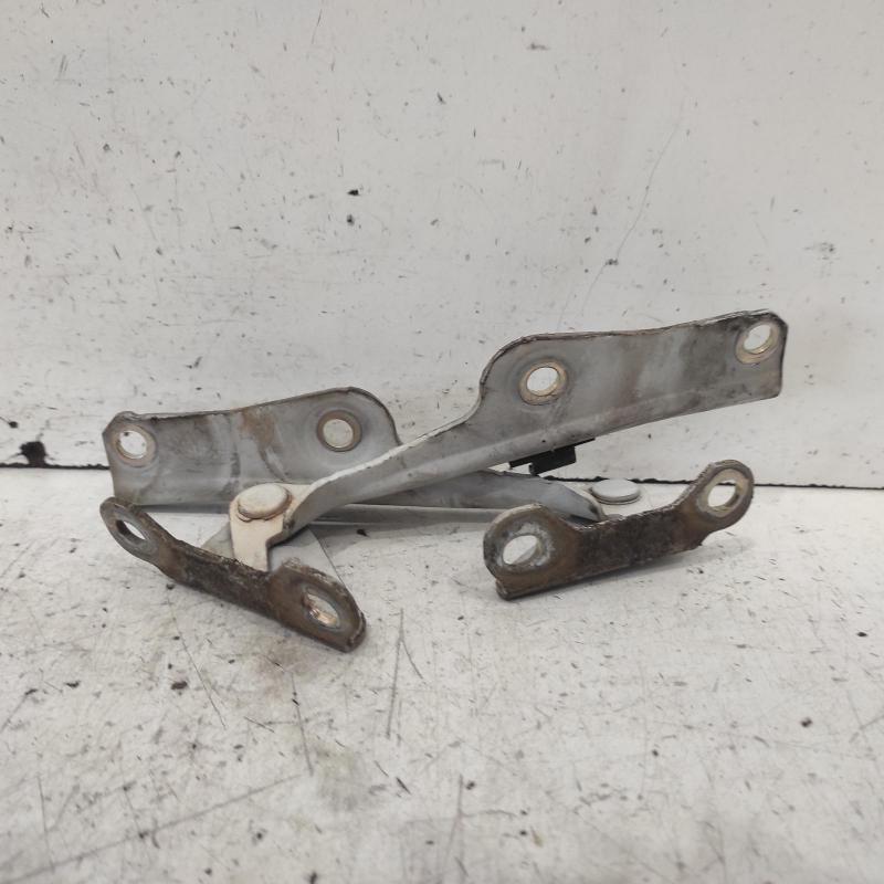 bonnet hinge/strut