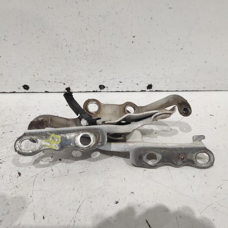 bonnet hinge/strut