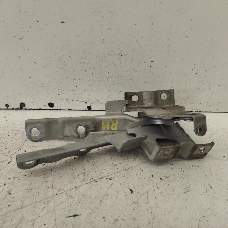 bonnet hinge/strut