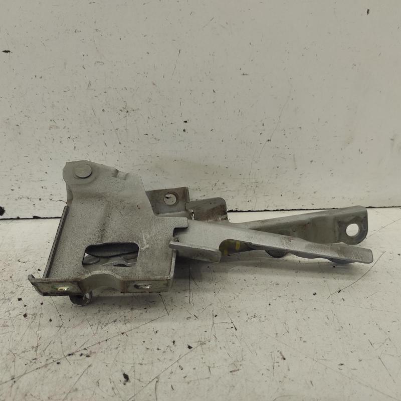 bonnet hinge/strut